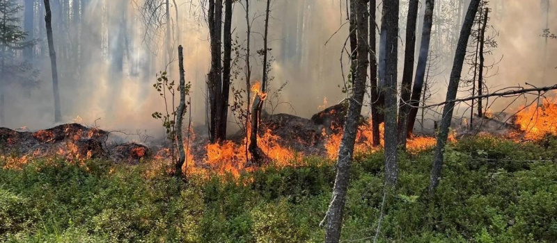    Госкомитет Карелии по ОЖ и БН