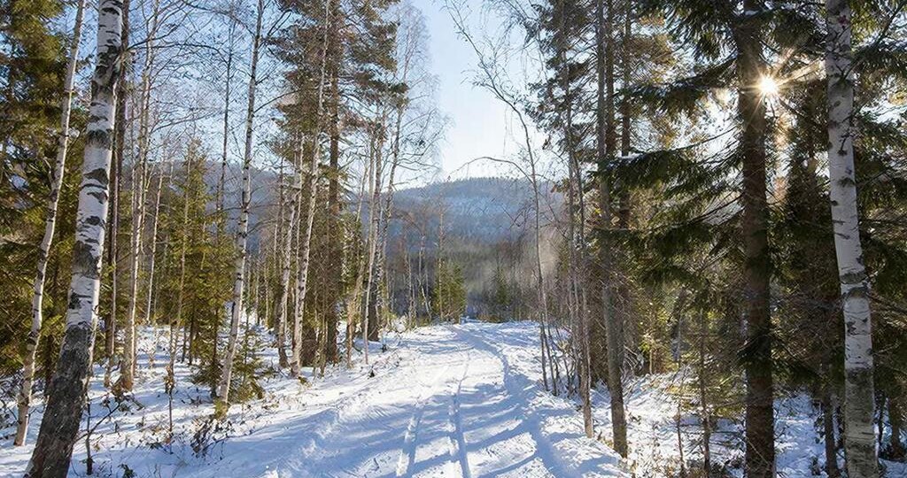 5 правил весенних лыж! 🎿 ☀️