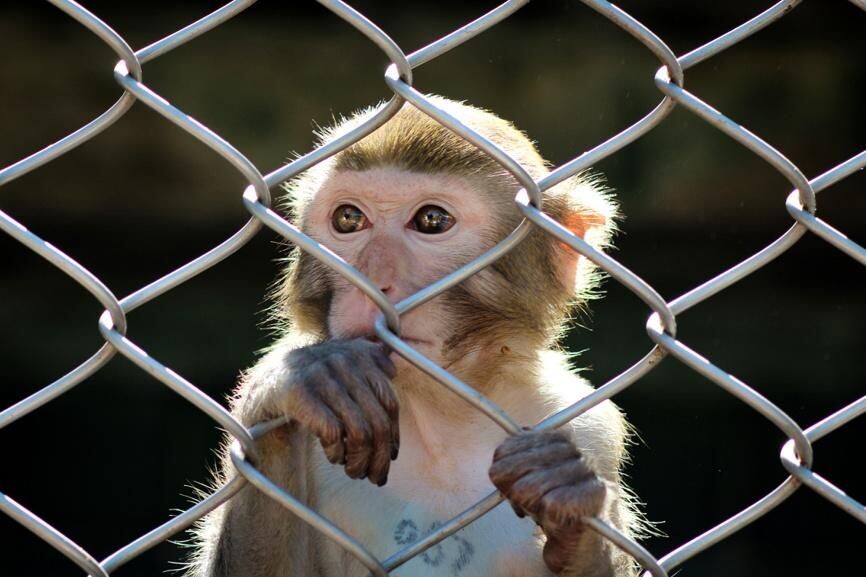    Ольга Петрова-Апостолова / Фотобанк Лори