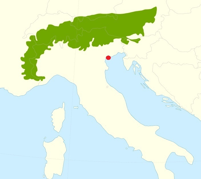 На карте ареал распространения этой лиственницы, красная точка это Венеция. 