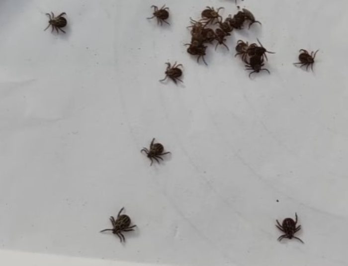 Кадр из видео, youtube.com.