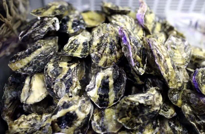     © РИА Новости. Виталий Тимкив