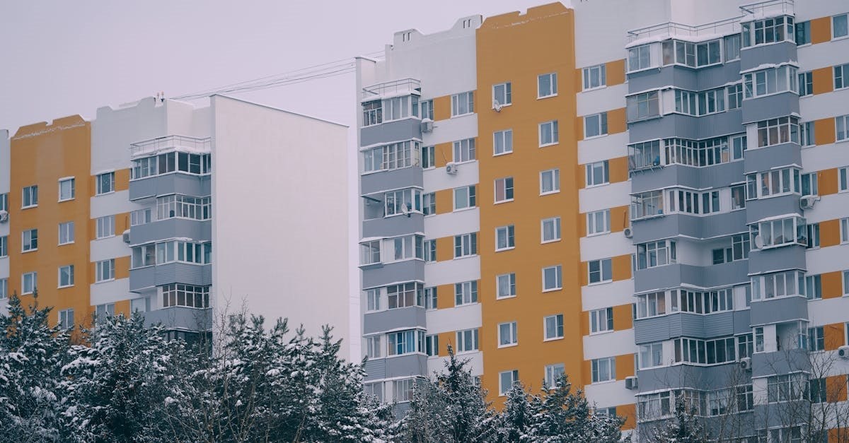 Фото: Pexels, @Artem Polubenin📷
