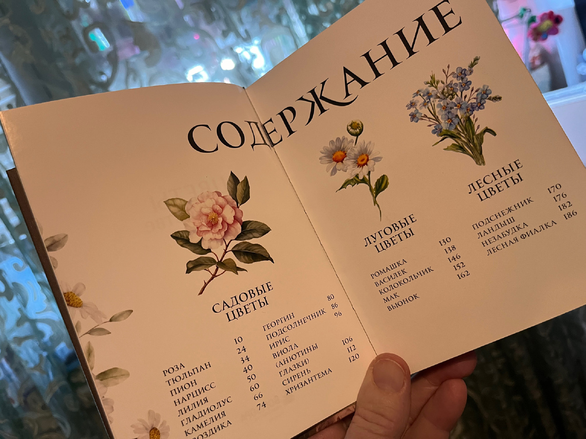Фото автора. Содержание новой книги. 