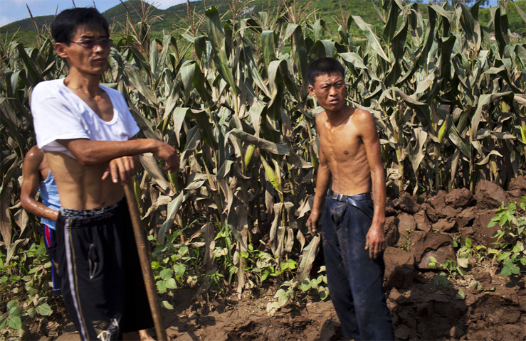 Фото из свободных источников.