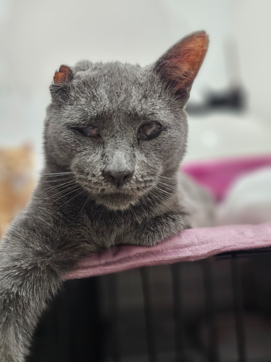 Слепой Серега