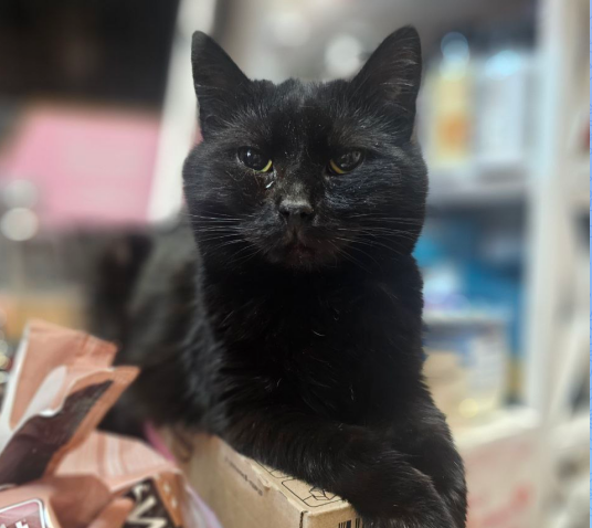 Охраняет остатки корма