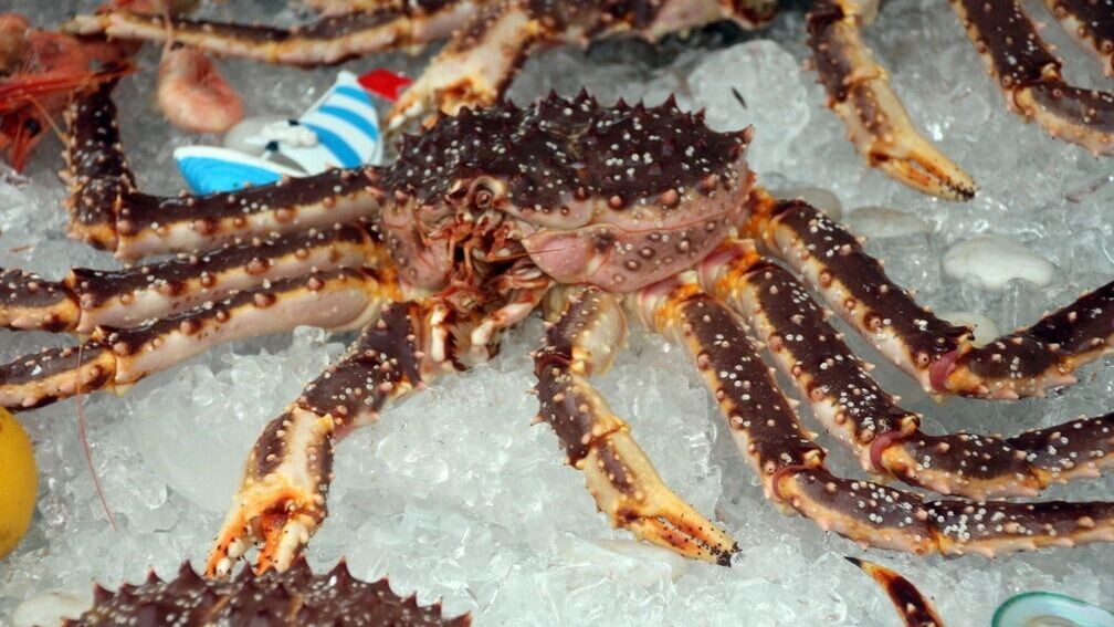    Зоолог рассказал, что за грязевой краб поселился в Азовском море   1MI