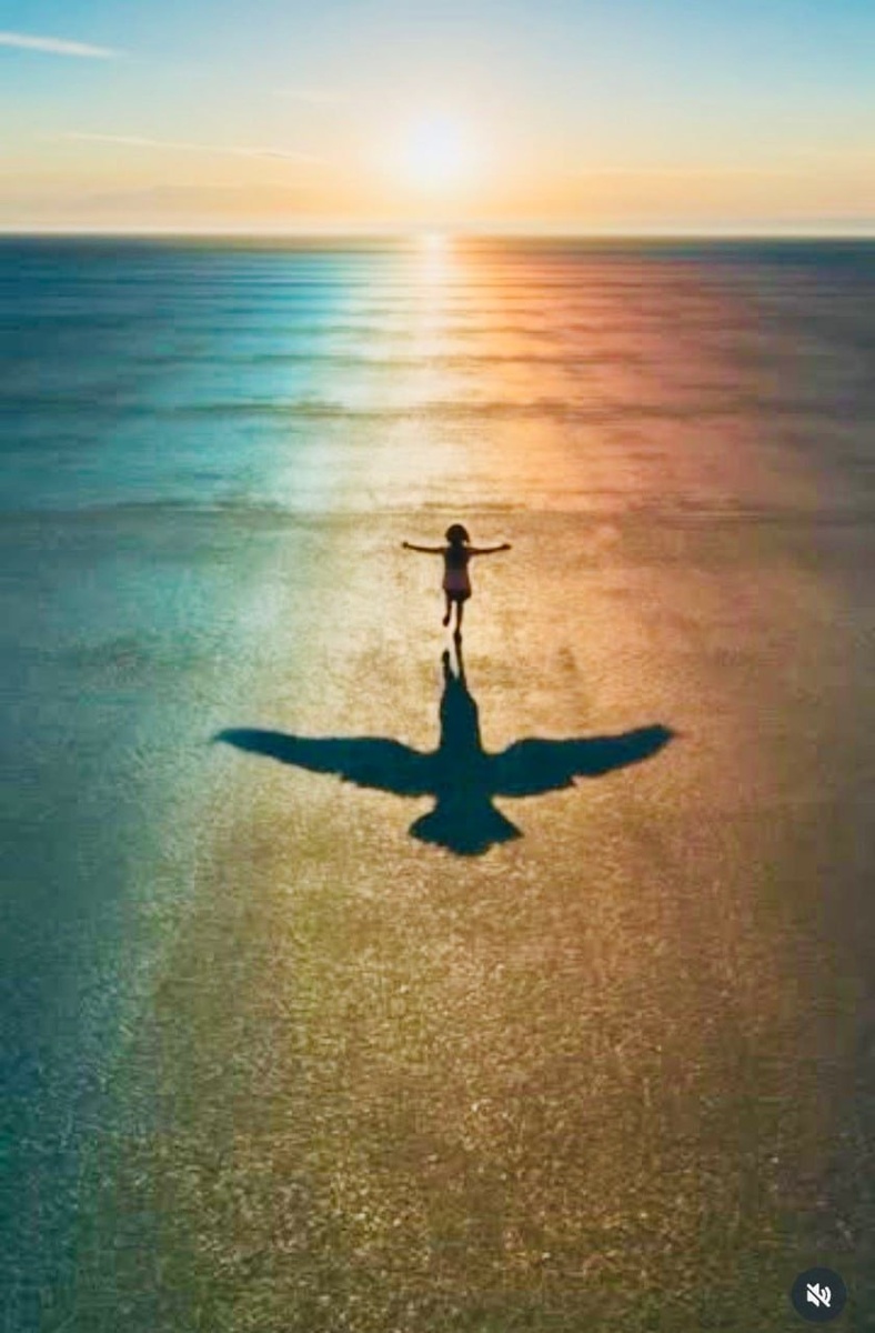 Картинка из тг канала Стаса Ким