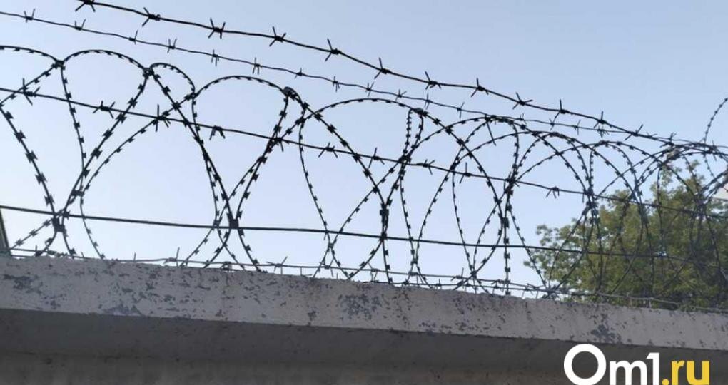 В Новосибирске задержали журналиста, снимавшего сюжет об изъятии скота у сельчан