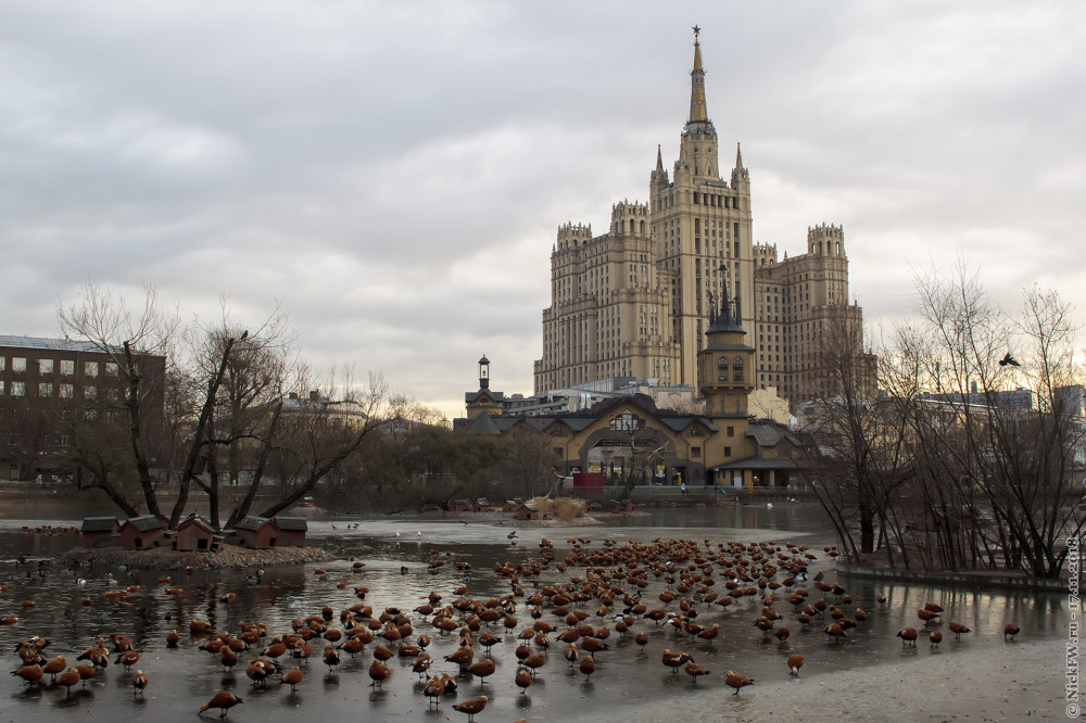 1. Высотка на Кудринской площади и центральный пруд Московского зоопарка © NickFW.ru — 17.11.2018г.