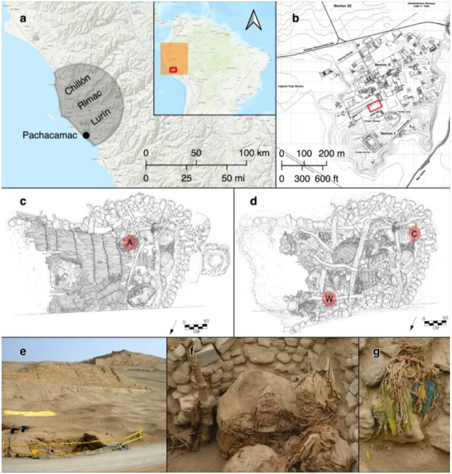   George Olah et al. / Nature Communications, 2026