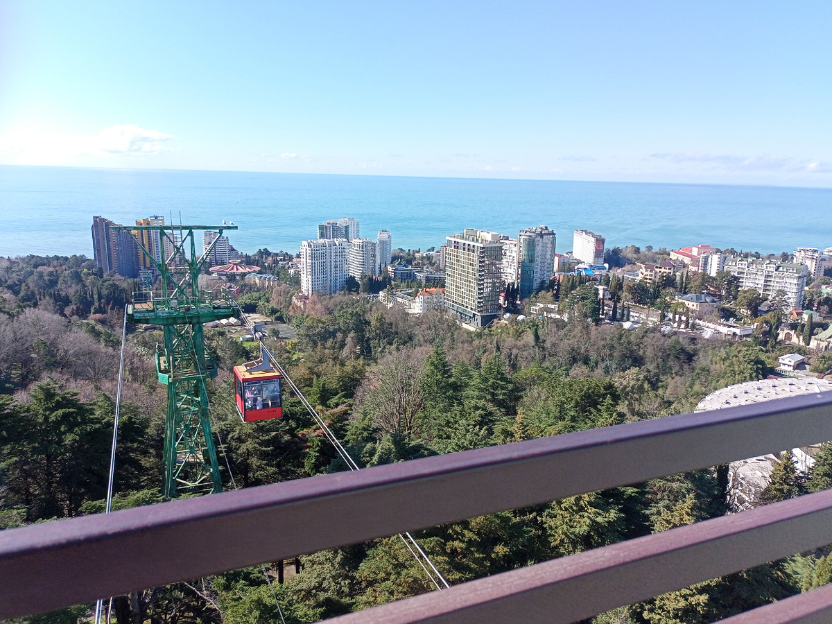 Вид со смотровой площадки сочинского Дендропарка