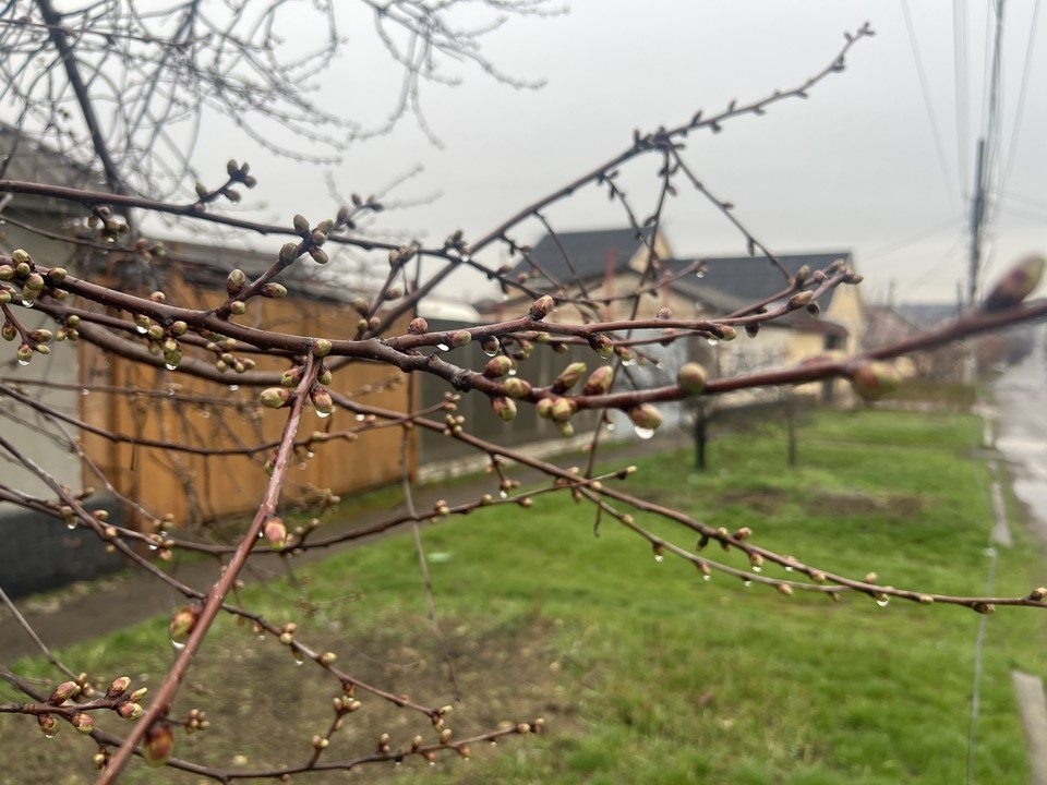    В среду в столице ЛНР днём температура воздуха поднималась до +17…+18 °C. Валерия РАЗИНА