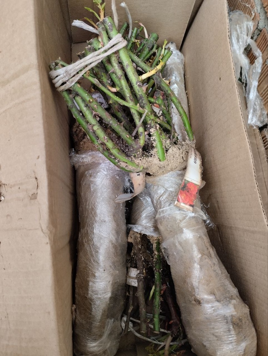 Хорошо упакованы