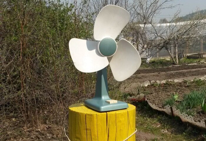 Один взрослый мальчик на всякий случай поставил памятник Карлсону / фото: Vostok.Today