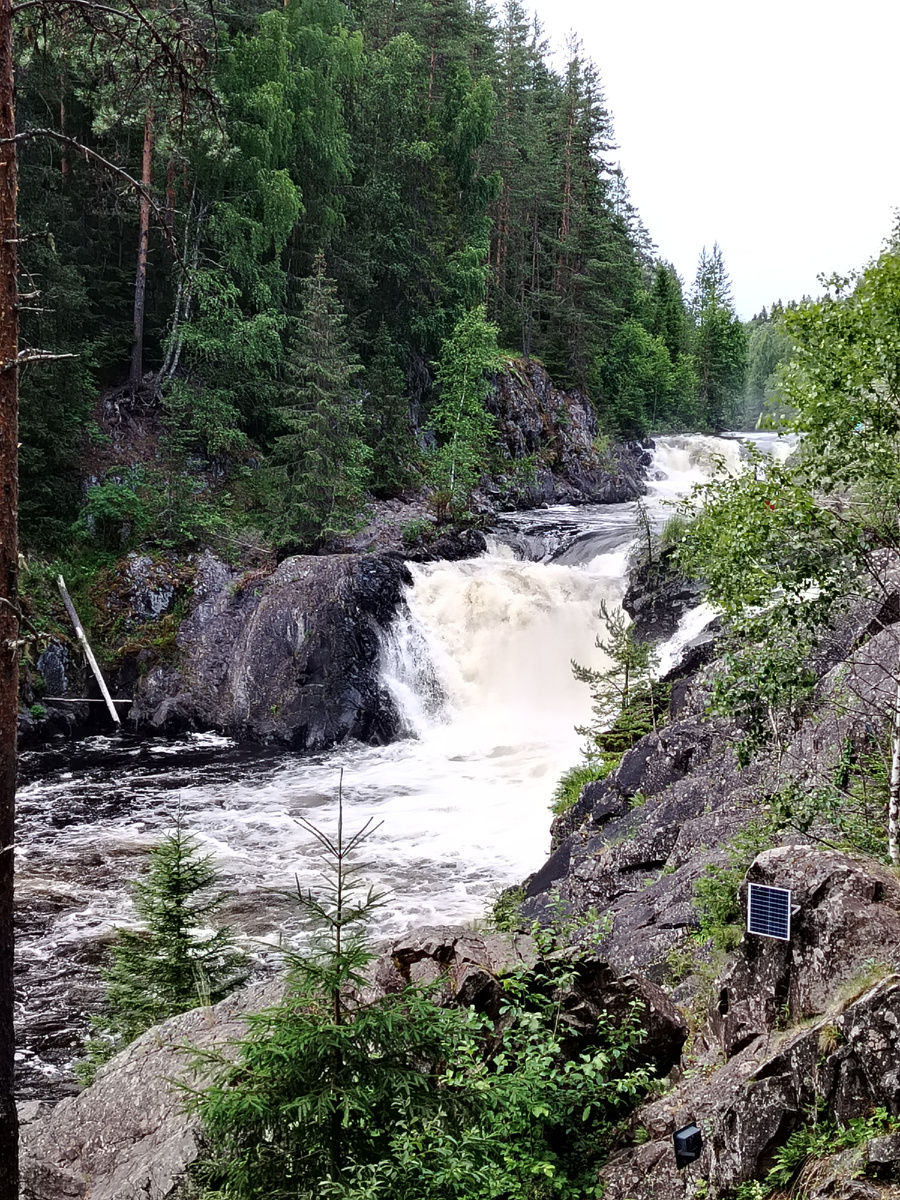фото из личного архива автора