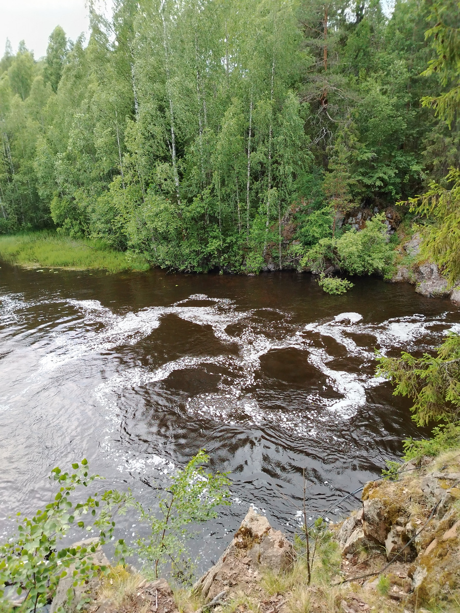 фото из личного архива автора