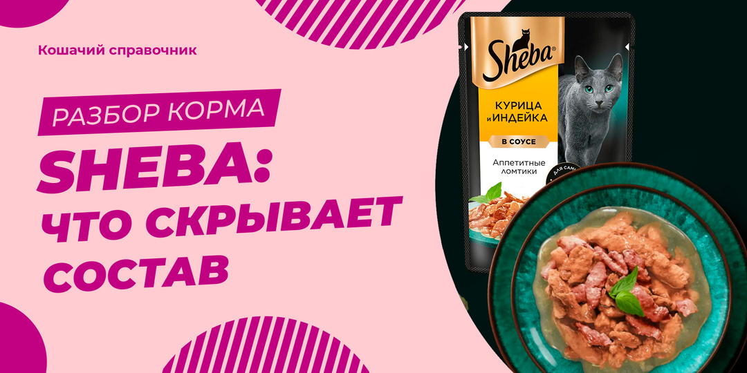 Sheba для кошек: что скрывает состав и за что вы платите