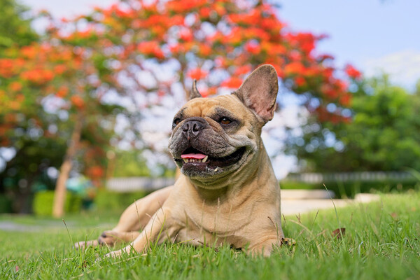 Tienuskin/Shutterstock/FOTODOM   📷