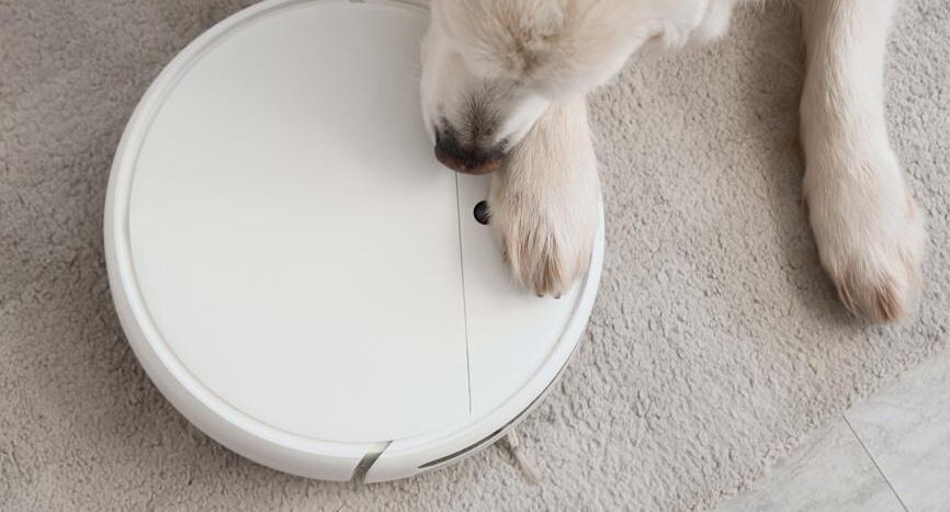    Pixel_shot / Фотобанк Лори