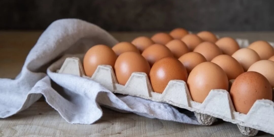 Производство яиц в Ярославской области упало до 41 % относительно 2025‑го