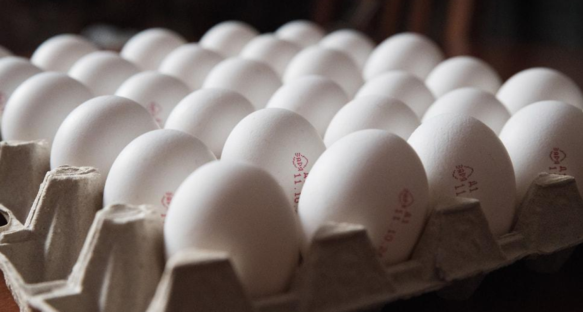    Фото: Александр Манзюк, Коммерсантъ с сайта iv.kommersant.ru