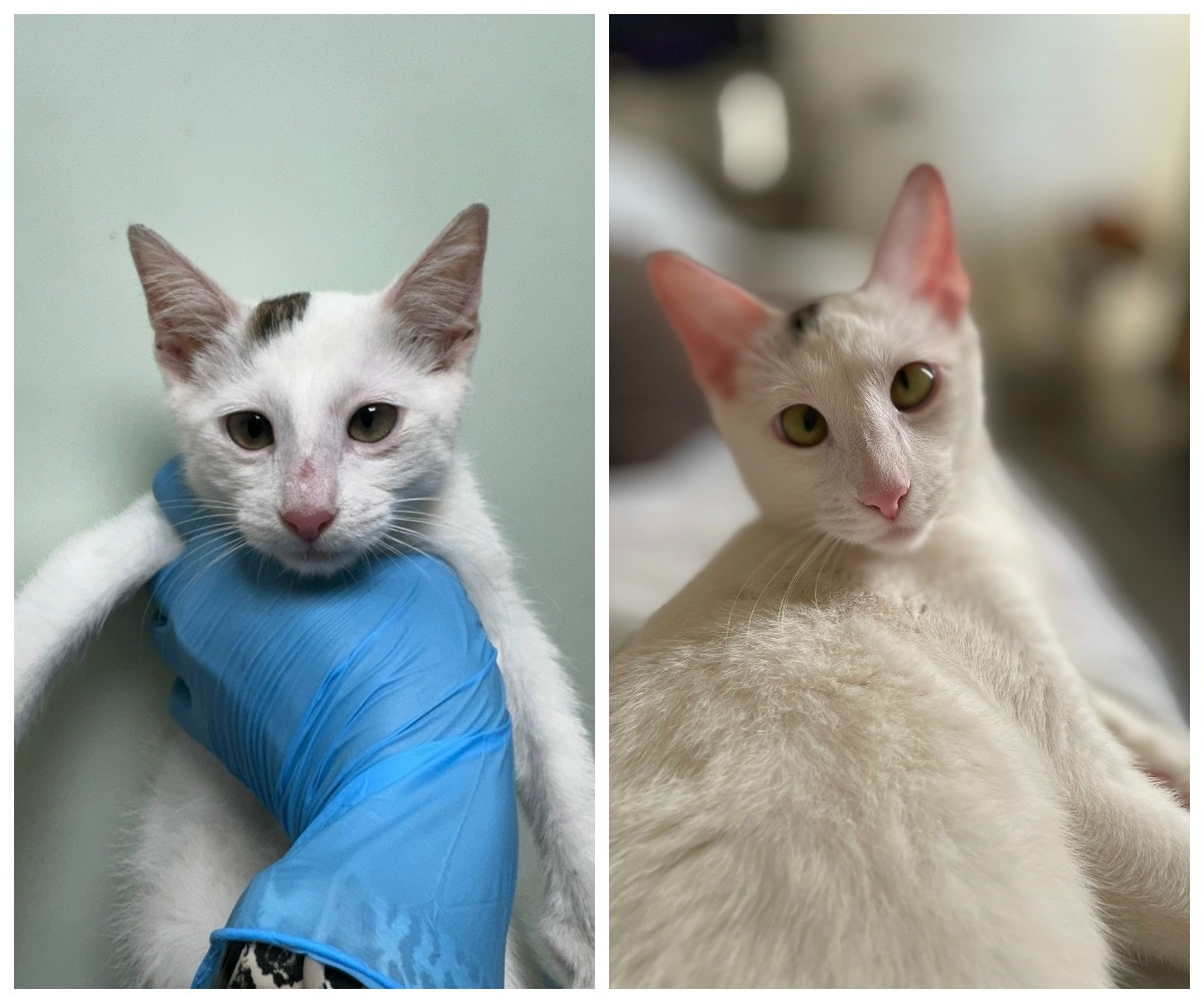 Июлька – выпускница приюта.