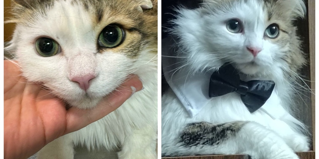 До и после: истории со счастливым концом