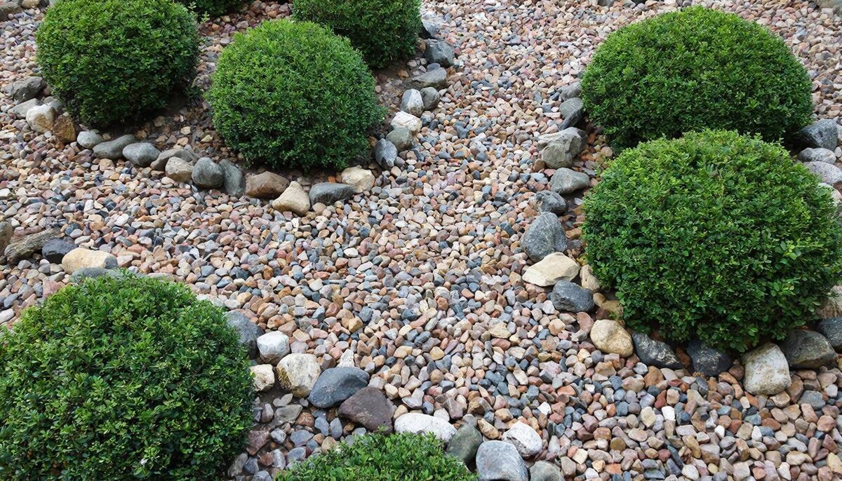 Отсыпка декоративными камнями во круг растений