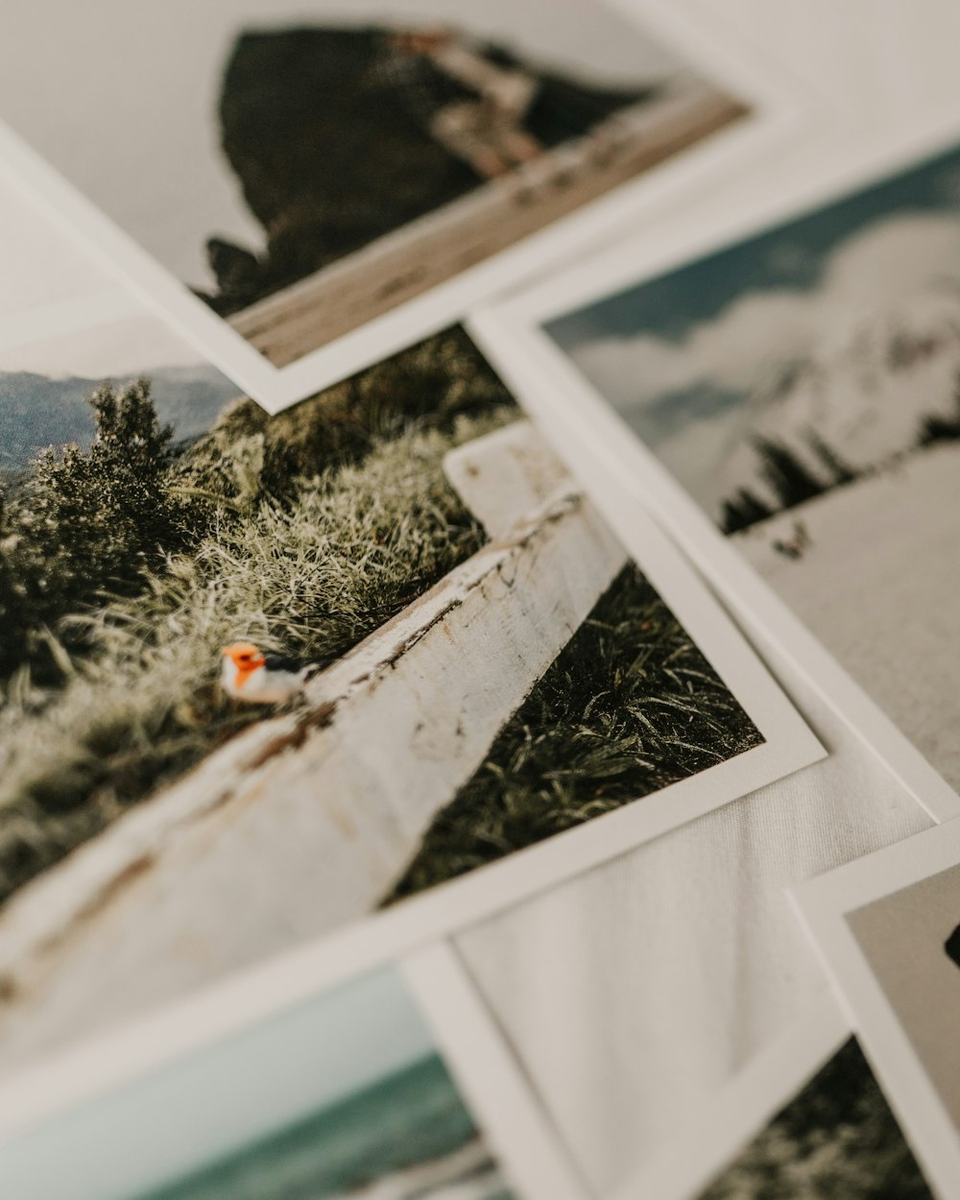 Фотография Саранди Вестфолл / Unsplash