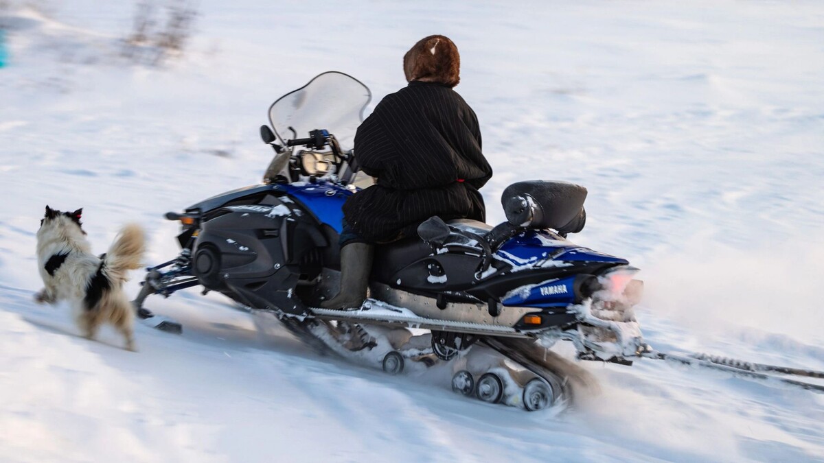   Фото: Федор Воронов/«Ямал-Медиа»