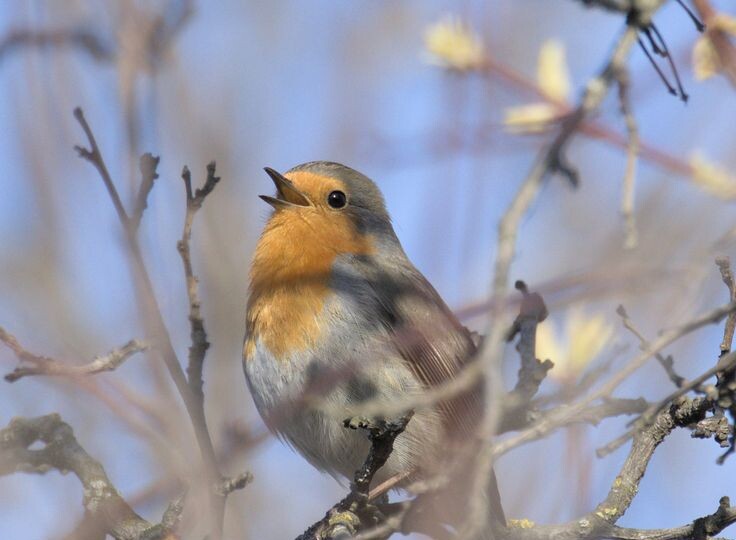 Новости из деревни