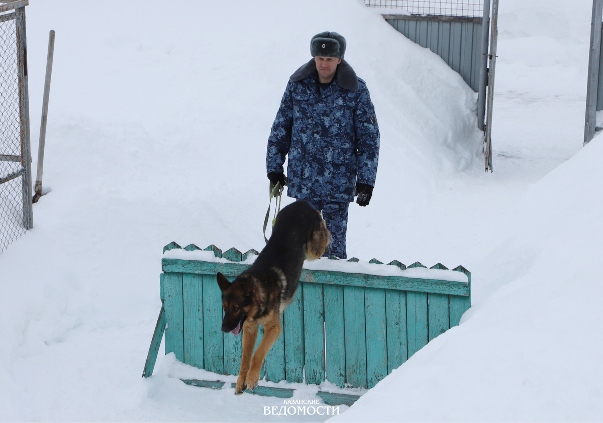 Постоянные тренировки поддерживают тонус и закрепляют навыки