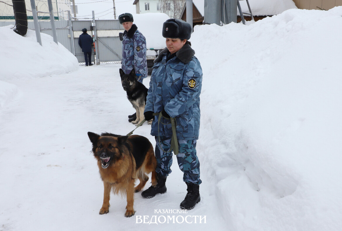 ​​​​​​Грозные служебные собаки беспрекословно слушаются кинолога