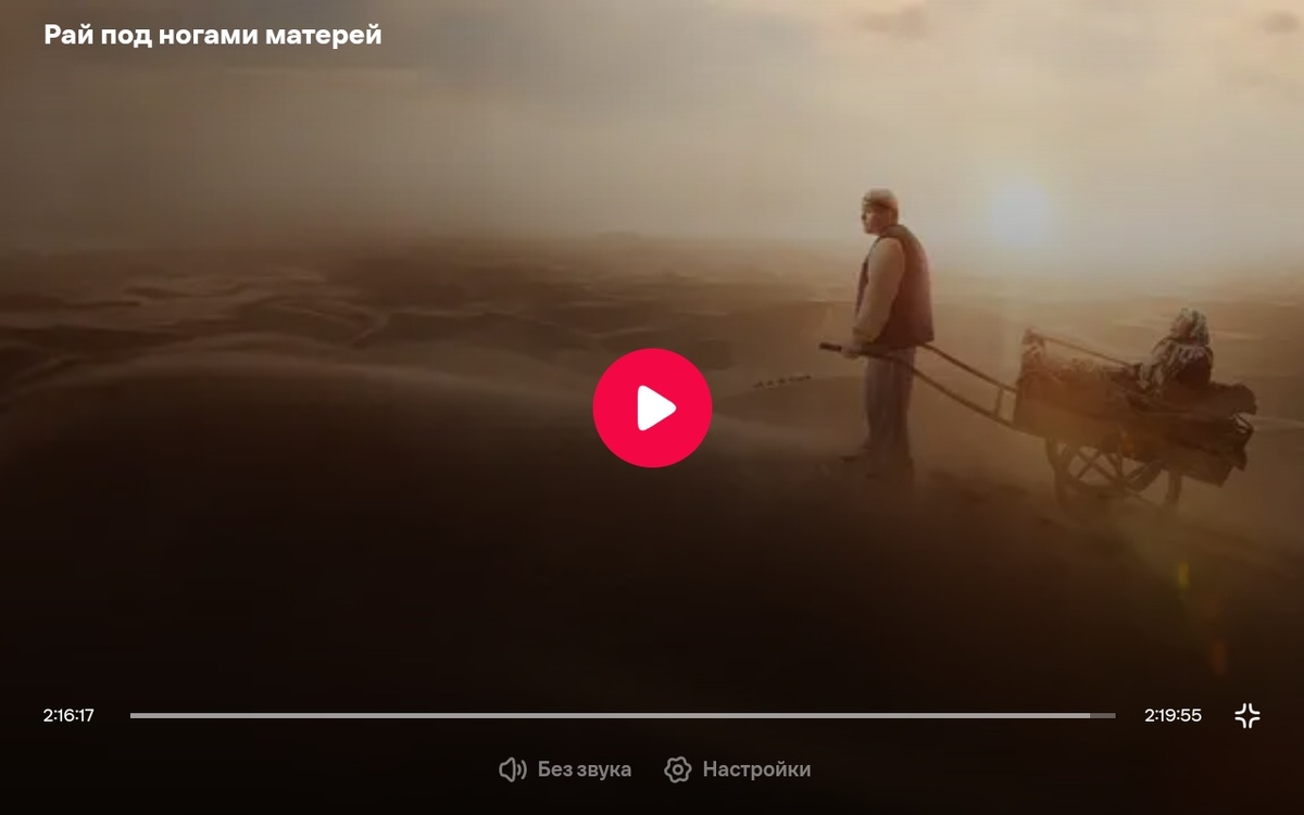 Обложка фильма с Иви