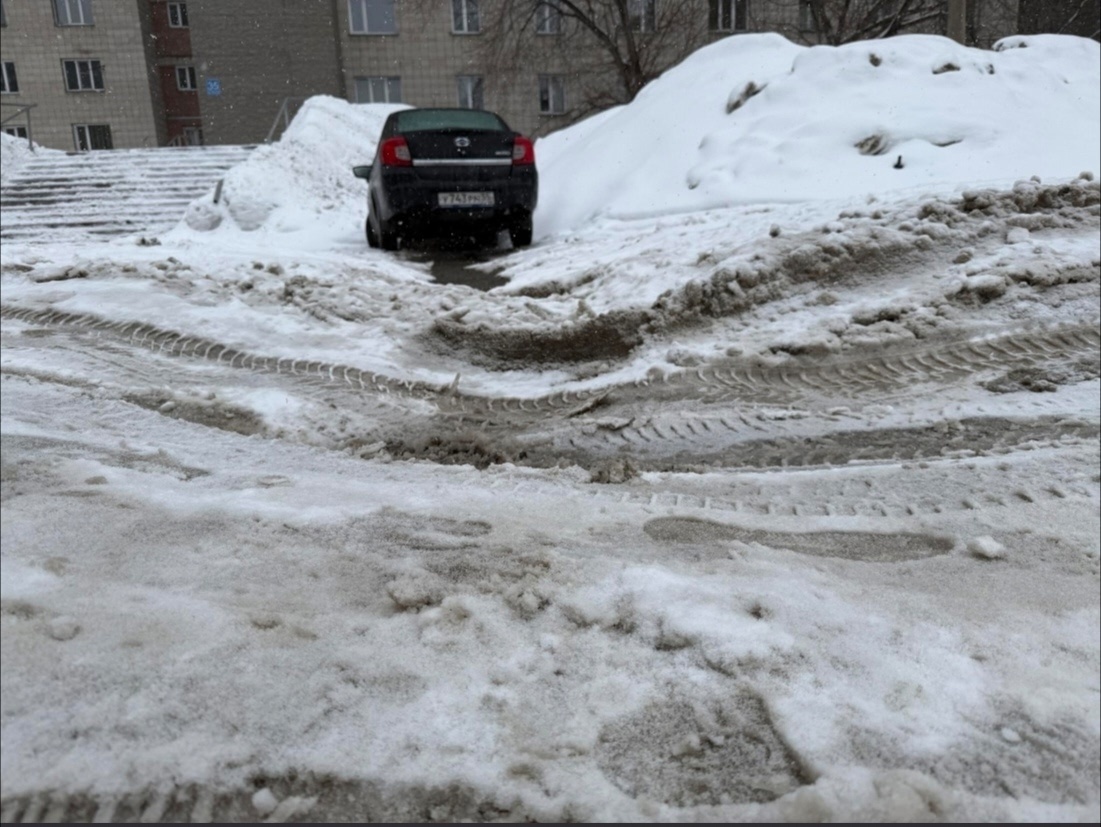    Фото: У нас на Шлюзе \ ВКонтакте