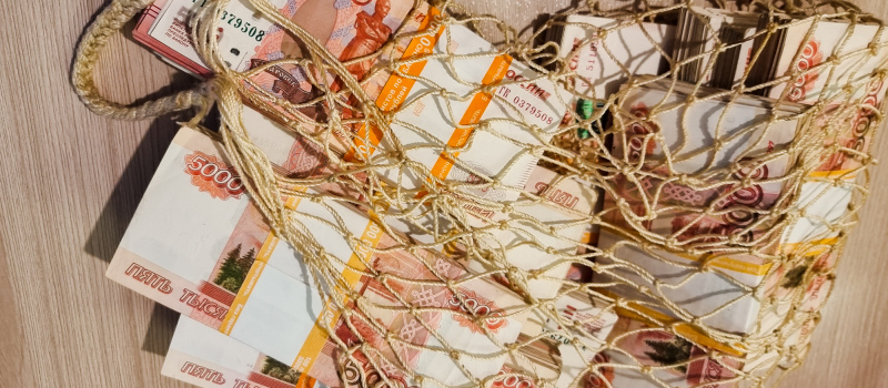    Ирина Яковлева