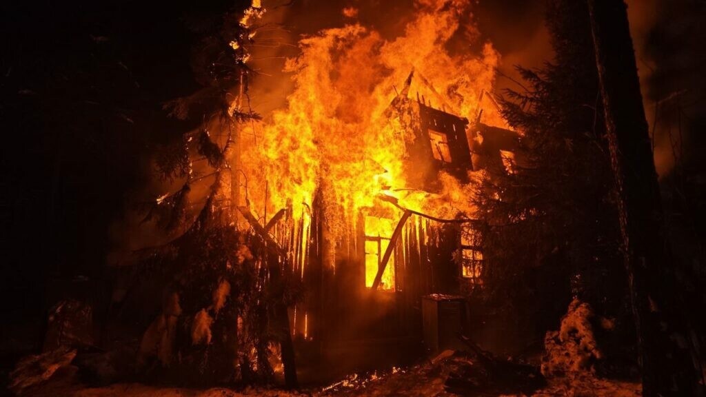    Фото: МЧС Ленинградской области