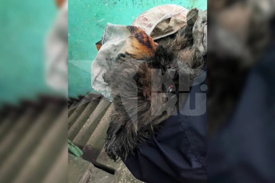 Травмы оказались смертельными
Фото: Предоставлено "Комсомолке".