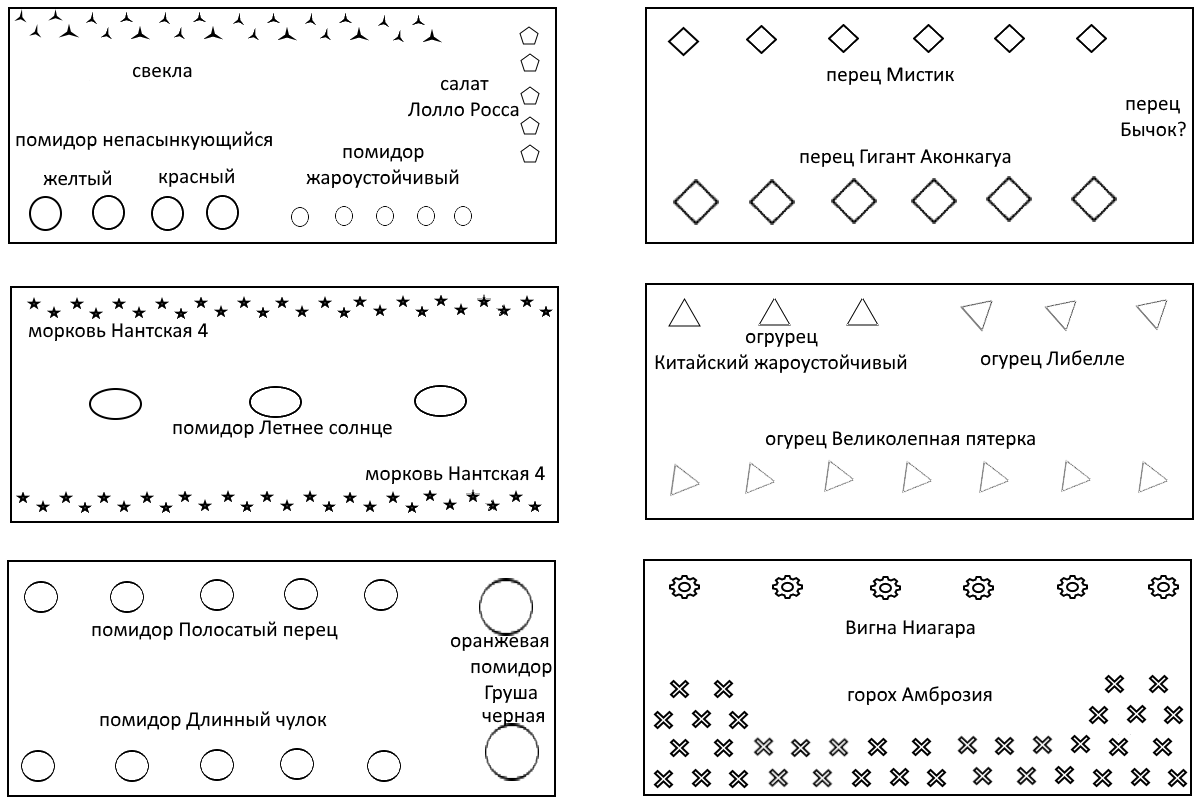 План грядок 