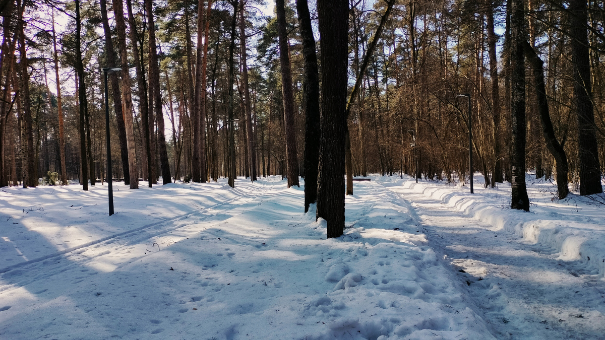 Парковые дорожки