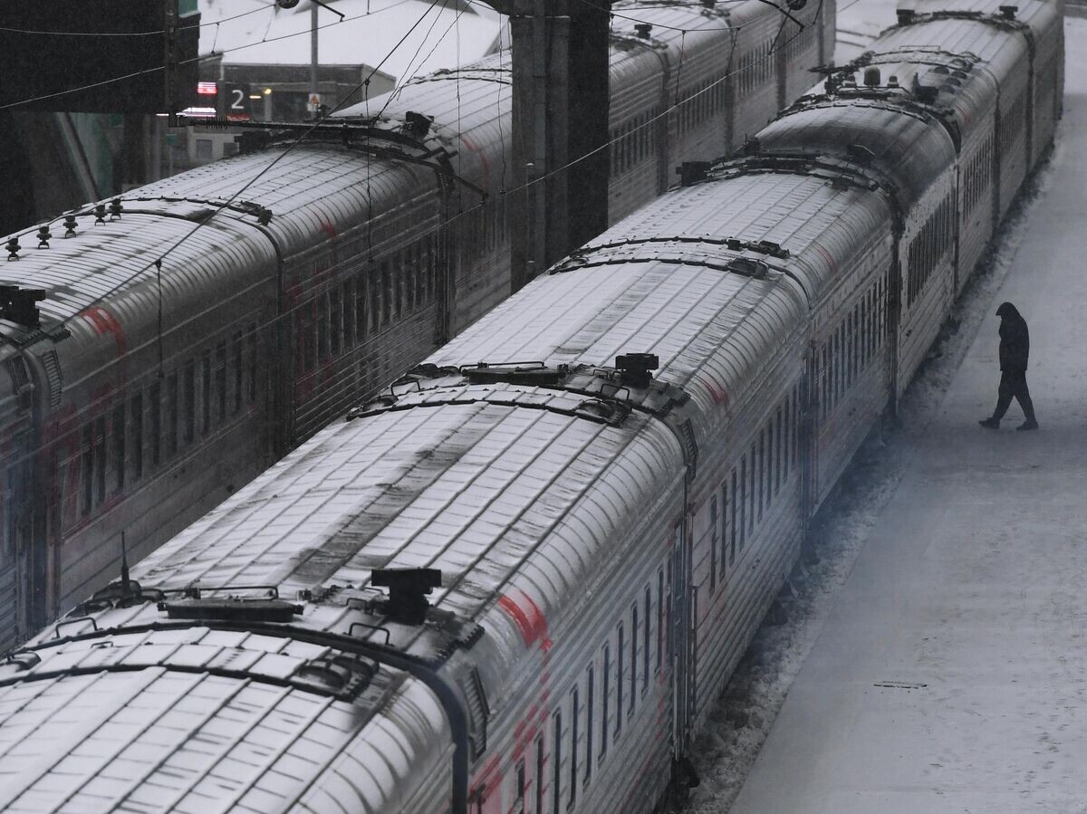    Поезда дальнего следования на железнодорожном вокзале© РИА Новости . Александр Кряжев