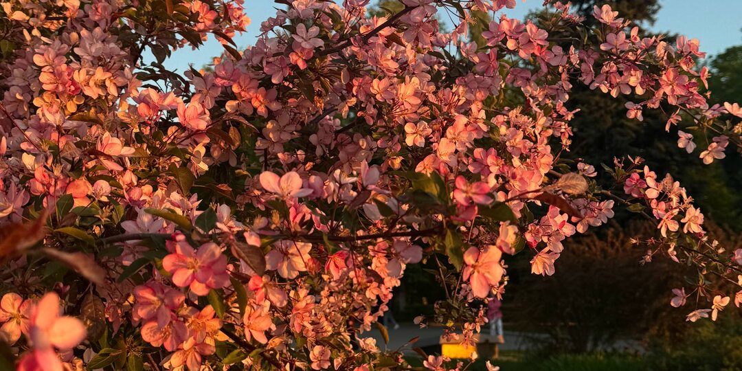 Самара: вкусно, близко, атмосферно