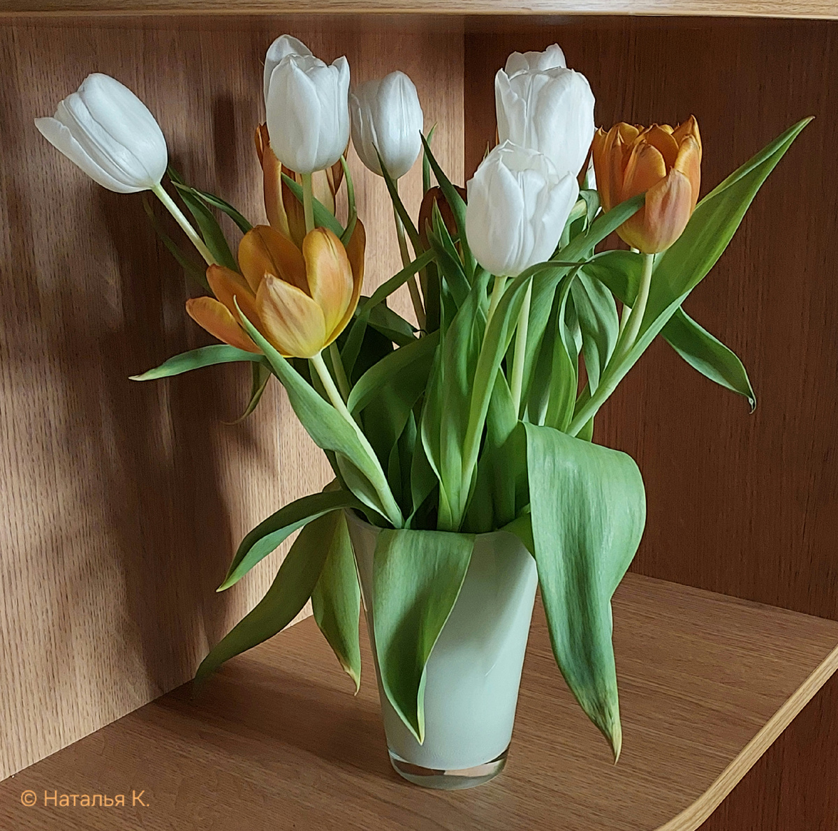 Фото автора канала. Тюльпаны до сих пор стоят с 8 Марта.