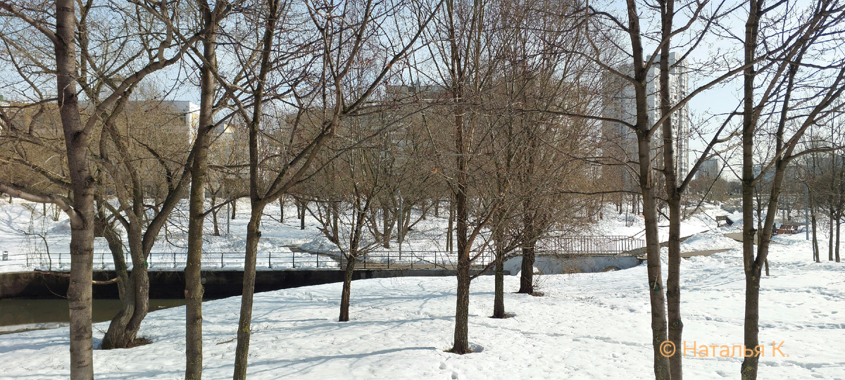 Фото автора канала. 13 марта 2026 г.