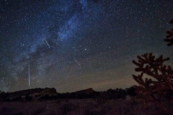 Brian Spencer/Shutterstock/FOTODOM   📷