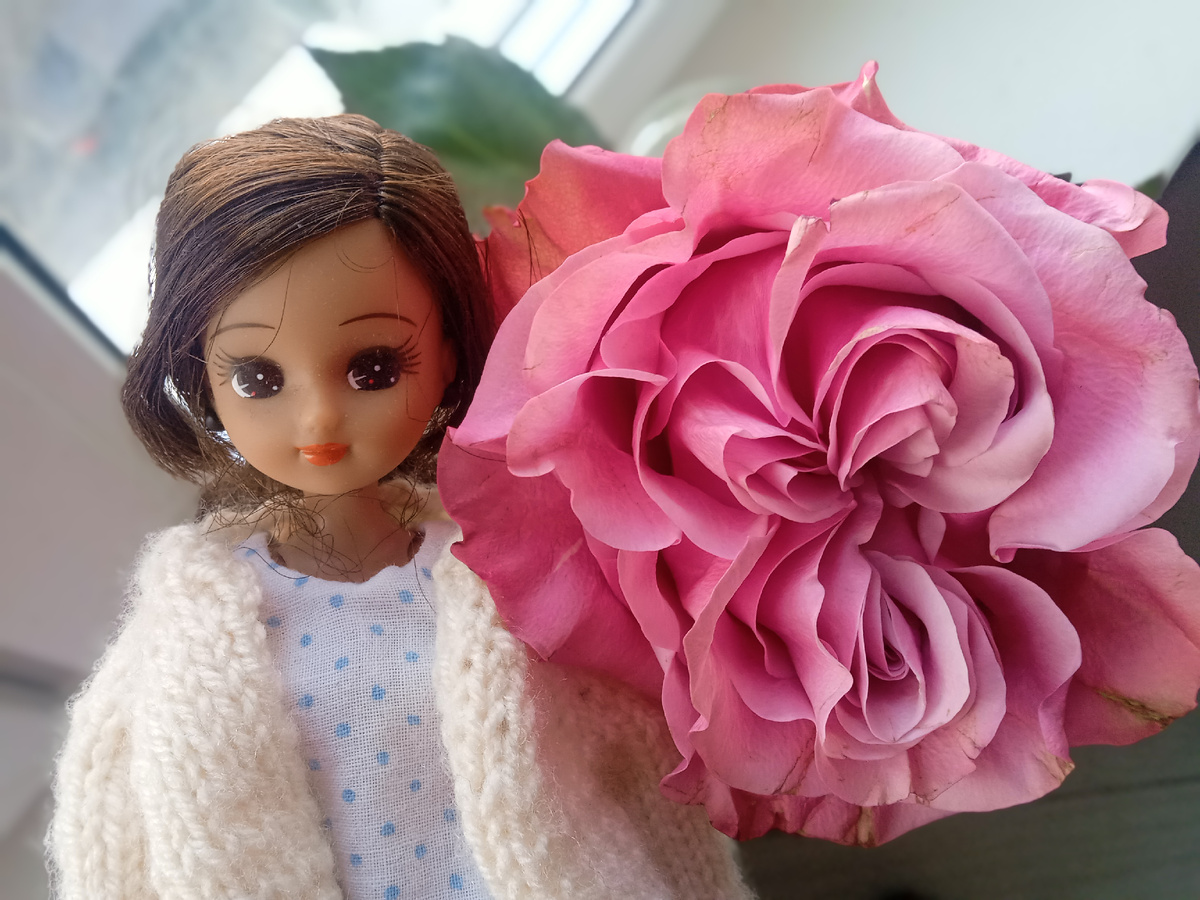 Далия и роза. Фото автора.