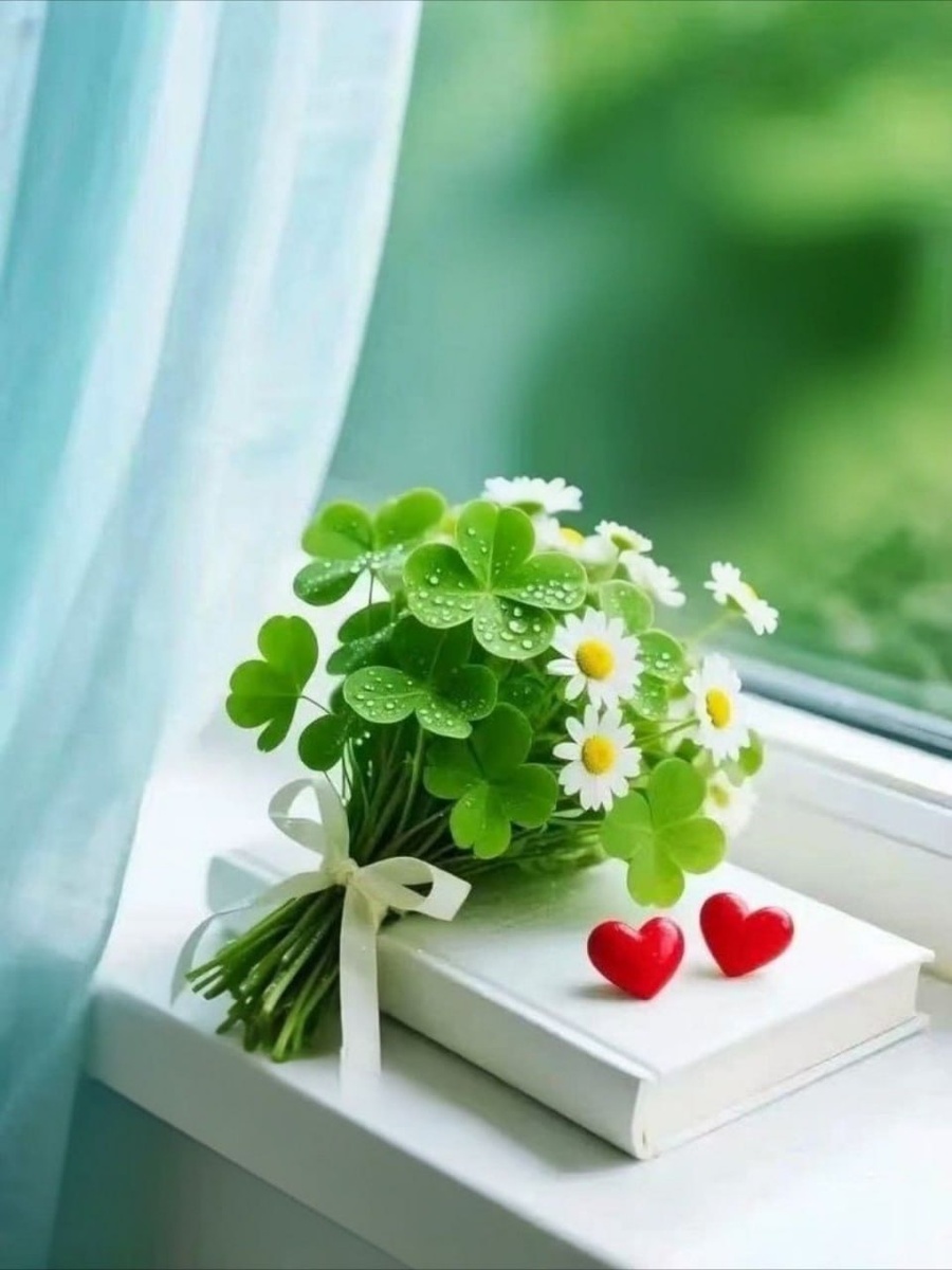 Картинка из тг канала Стаса Ким