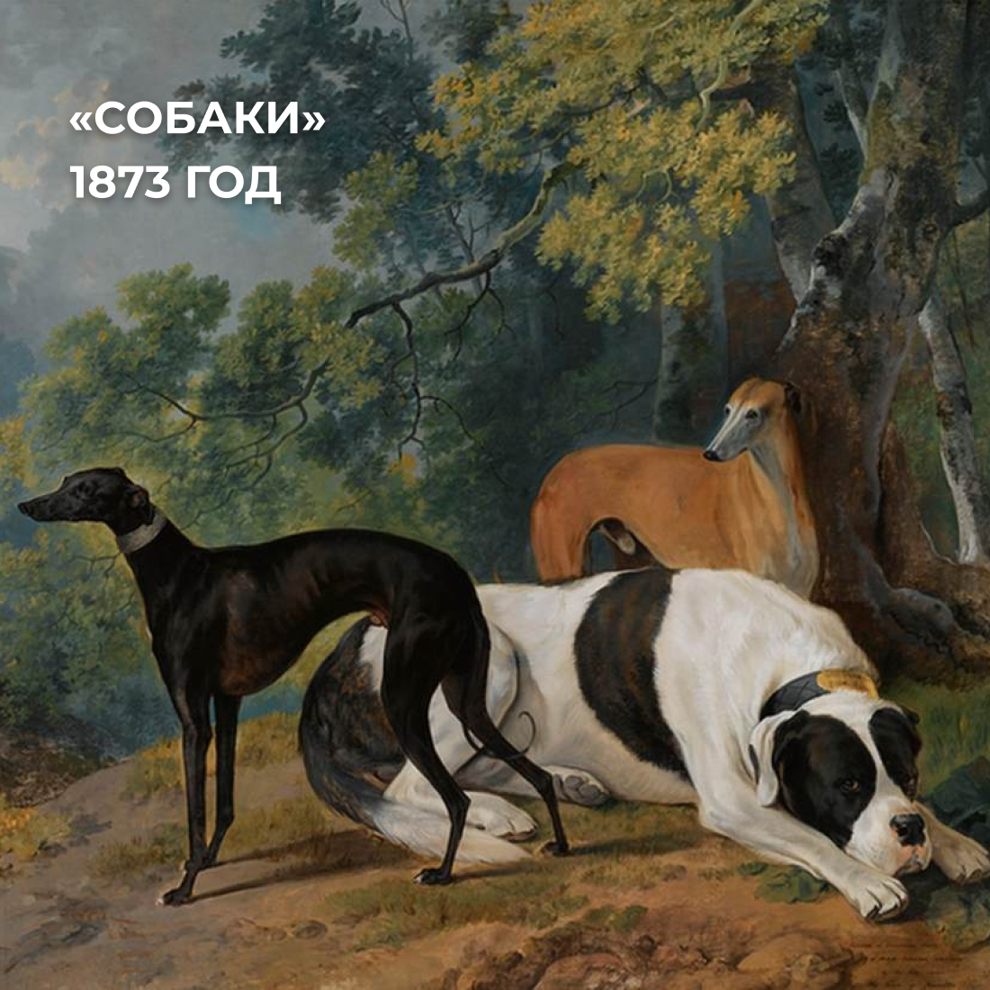 «Собаки» 1873 год